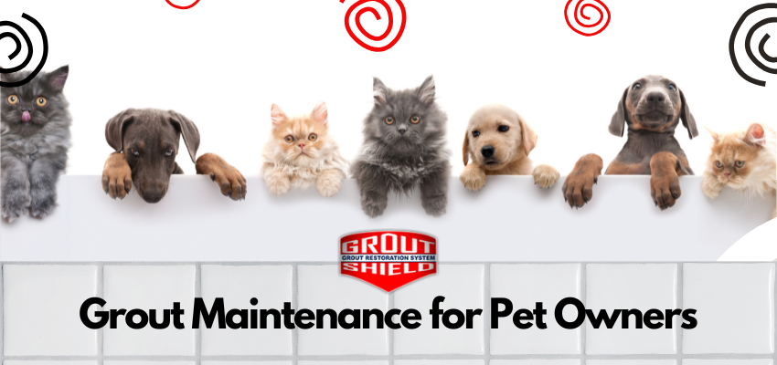 Grout Maintenance for Pet Owners